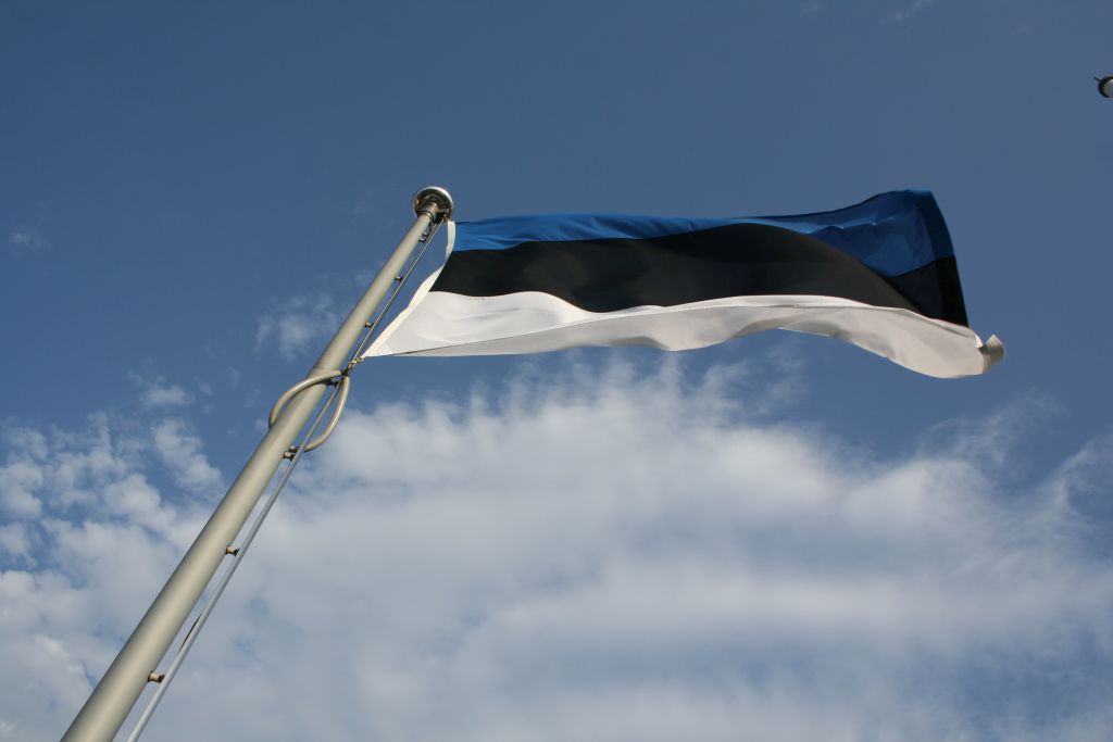 Estland Flagge